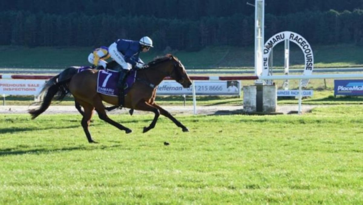 The Entertainer shines in winter cameo