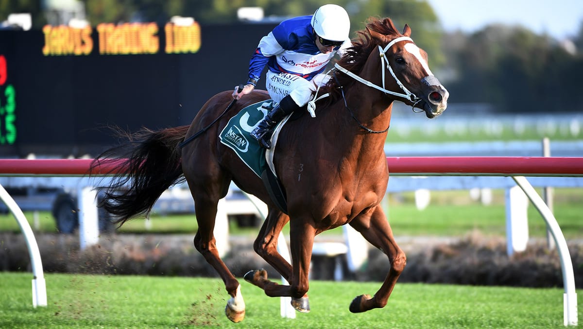 In-form filly on black-type trail in Brisbane