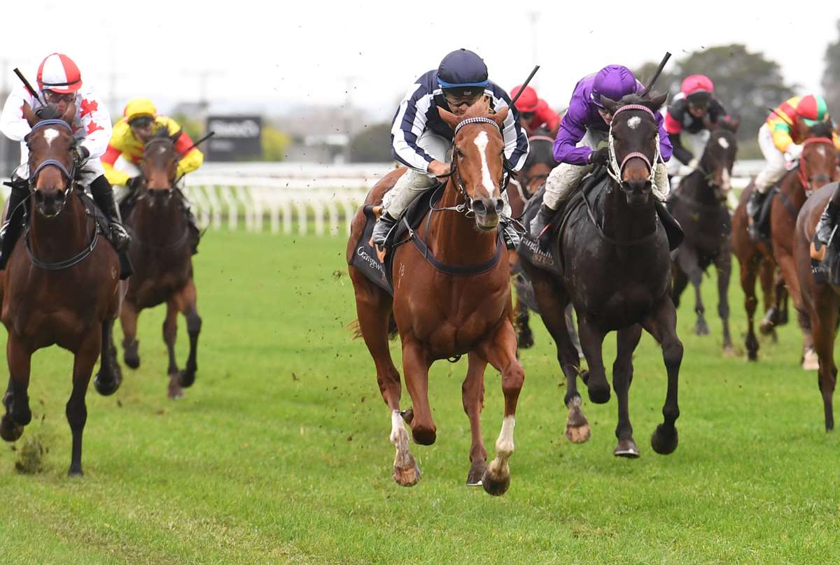 Smart first-up winner heading to Wanganui