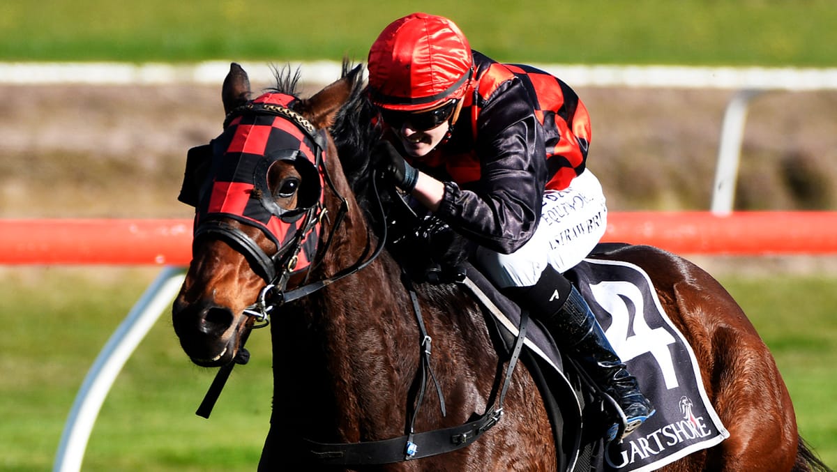 Strawbridge gains second win in a week in Kiwifruit Cup