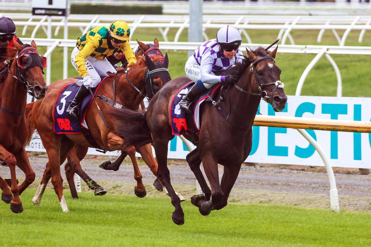 Logan following successful blueprint in the south