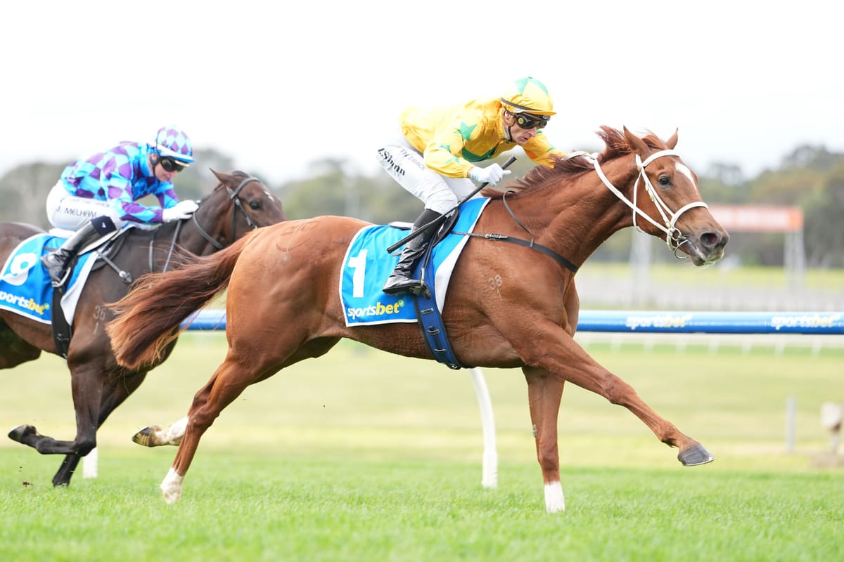 Proisir 3YO impresses at Sandown
