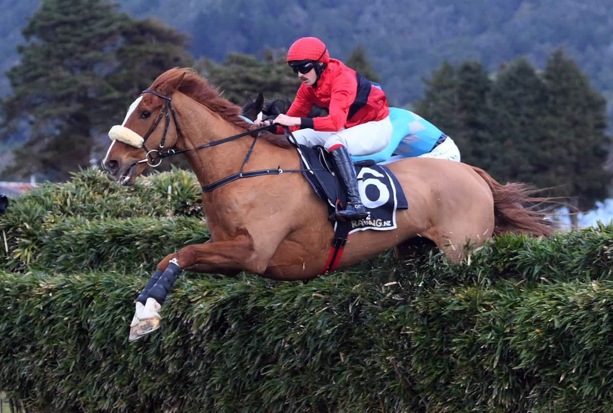 Al’s Red Zed takes Jesko form to Te Rapa