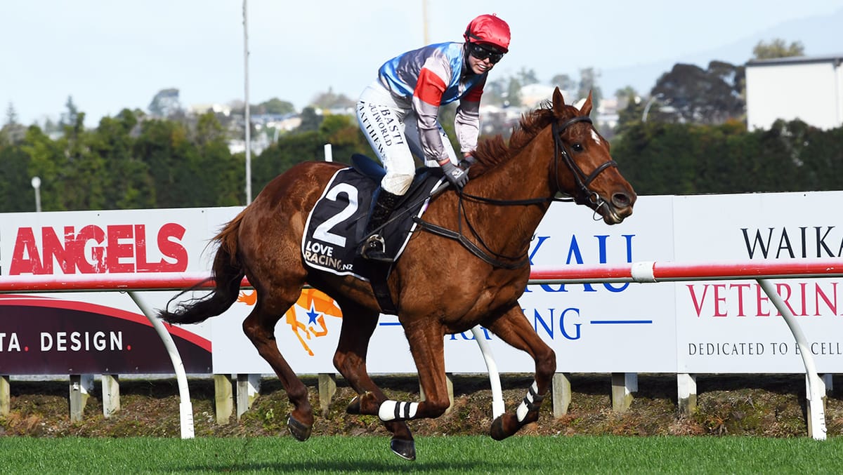 Star hurdler to resume at Otaki