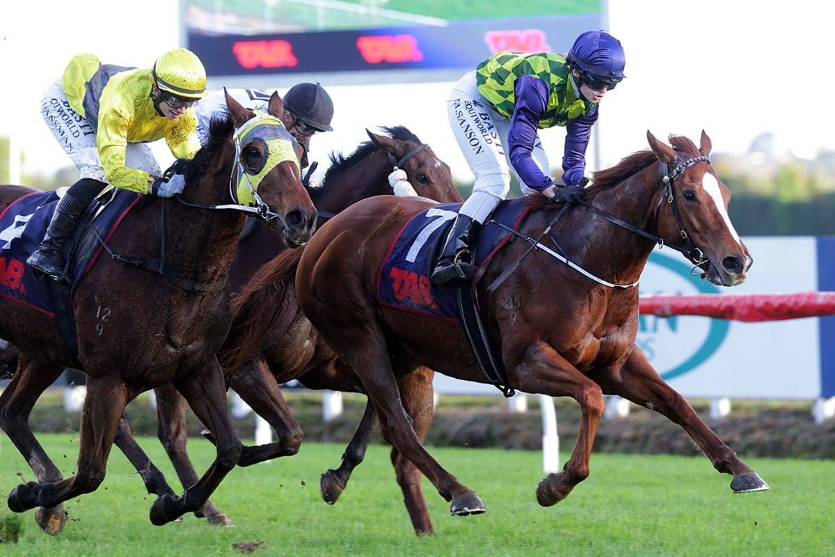 Caitlyns Wish relishes testing Te Rapa conditions