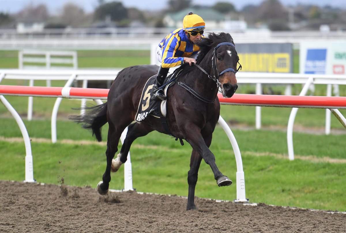 Perfect three for the Grays at Awapuni