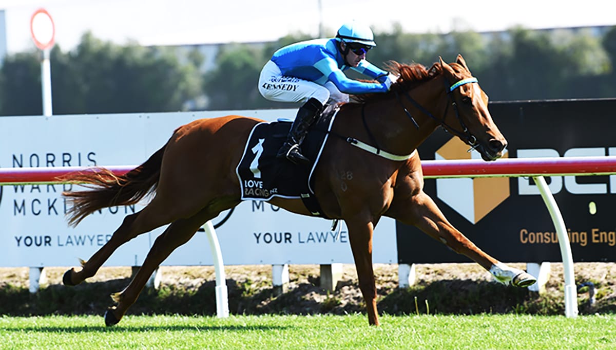 Group One-winning sprinter returns