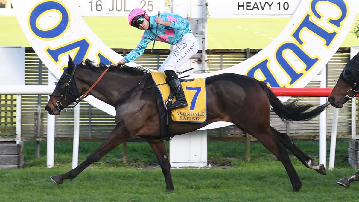 Perfect result for Falconer at Avondale