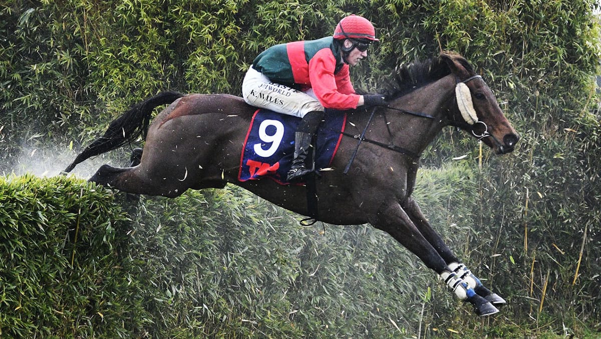 Jakama Krystal takes out the Waikato Hunt Cup