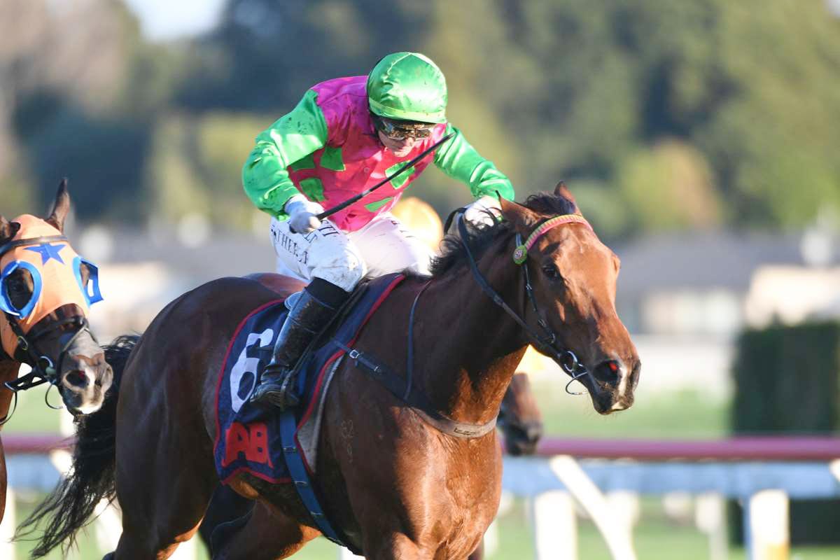 Quirky character ready for Cup challenge