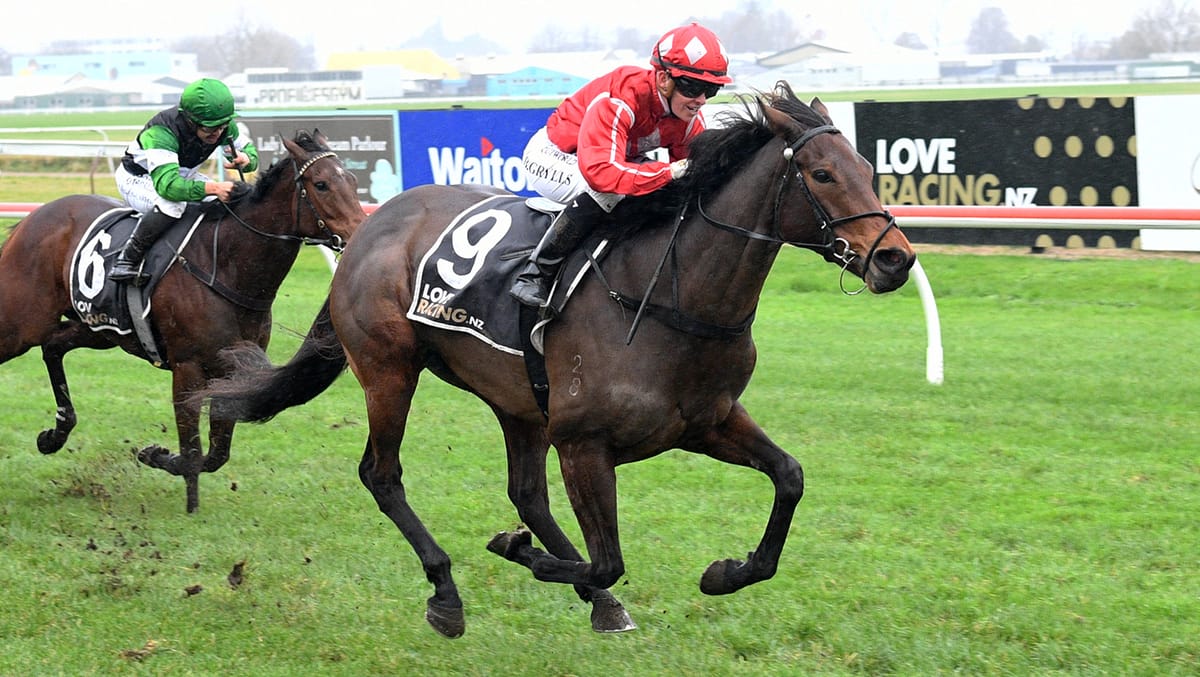 Sulabella chasing Rotorua hat-trick