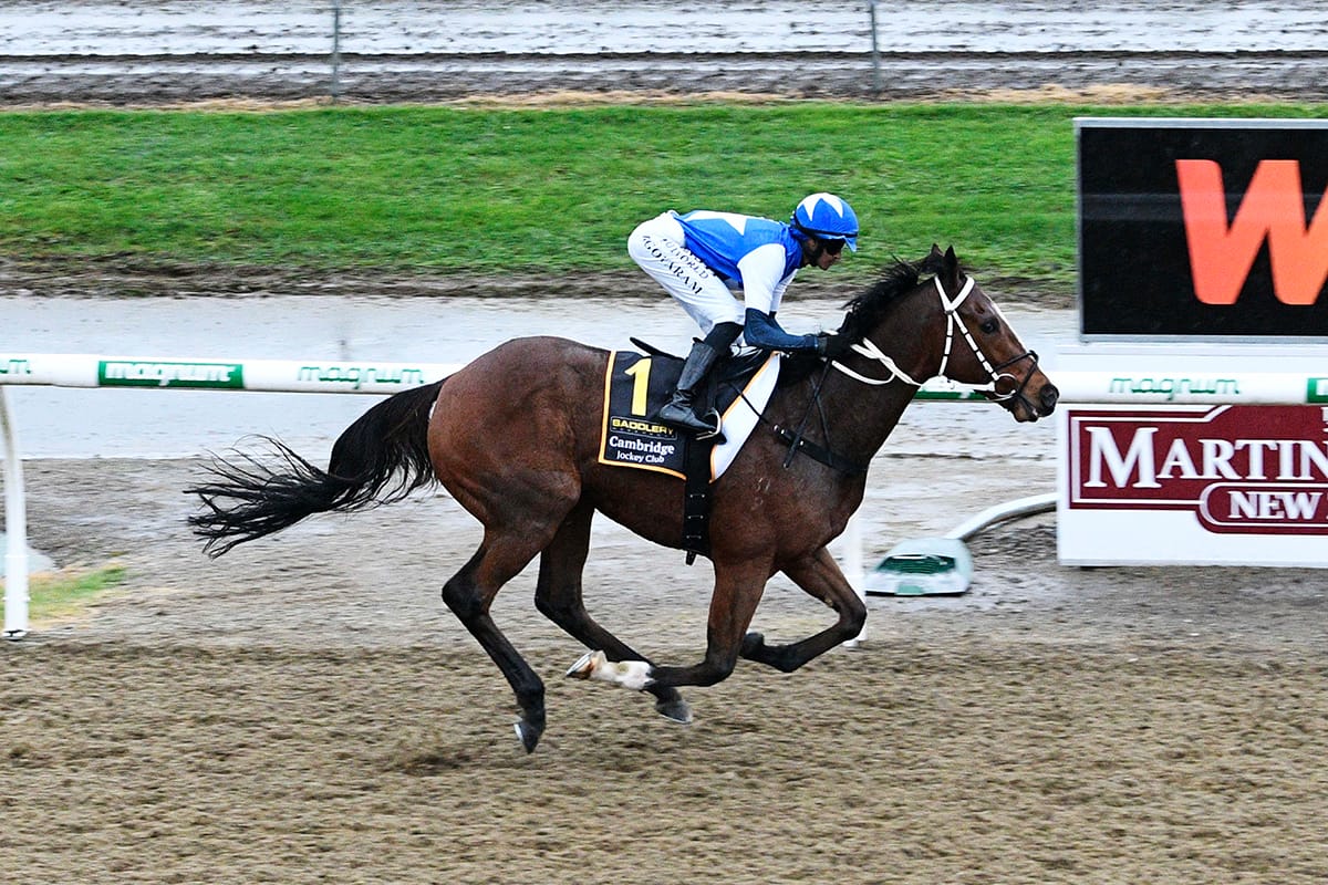 Synthetic heavyweights to renew rivalry