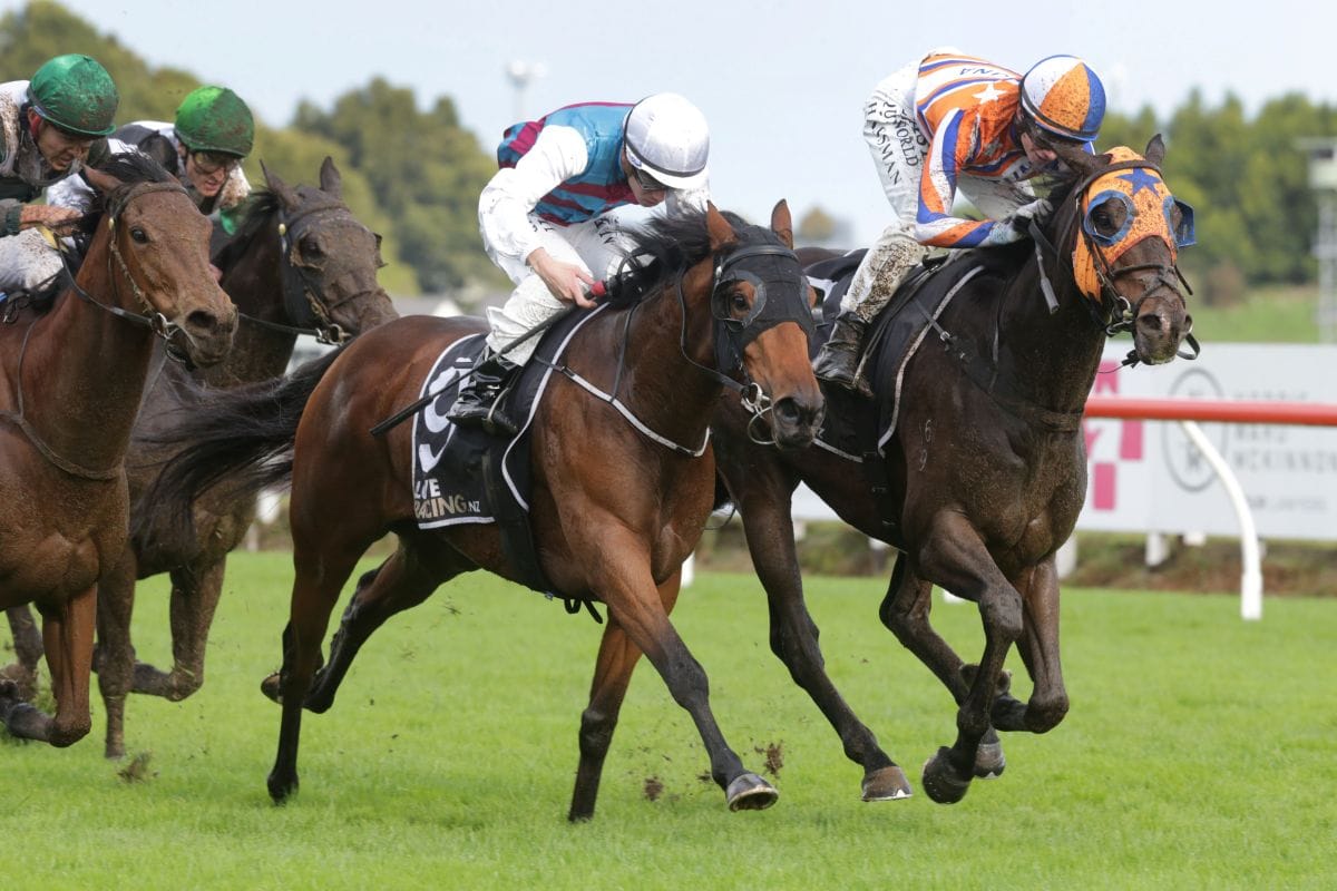 Jumping future ahead for tough Malborough Bay