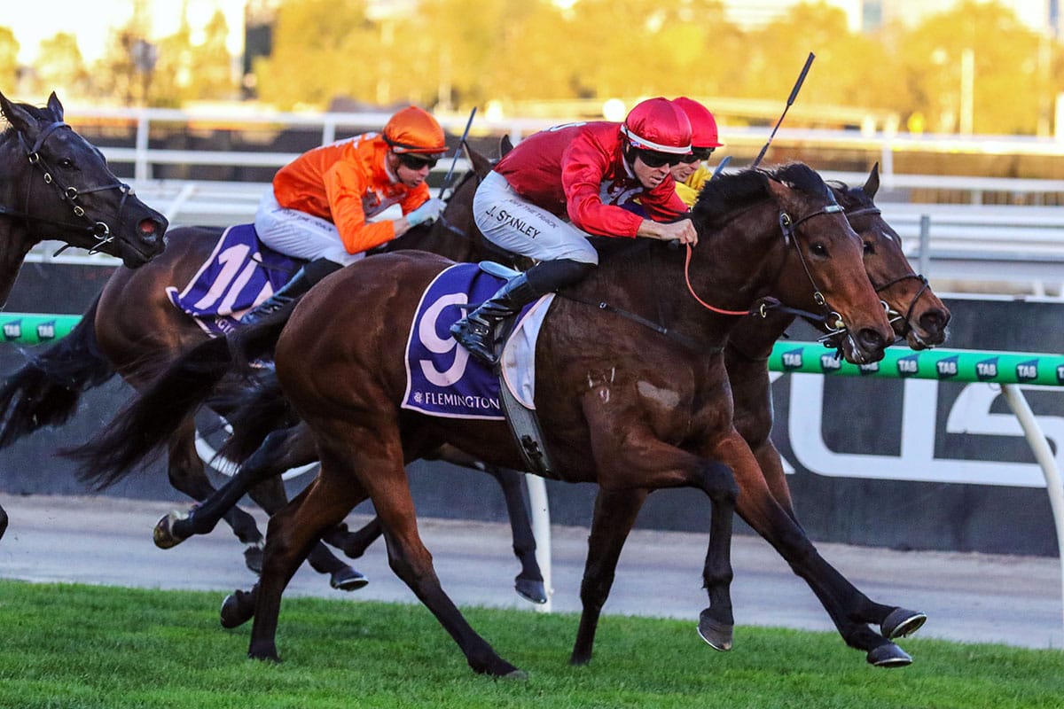 Miss Tarzy in Leilani blowout