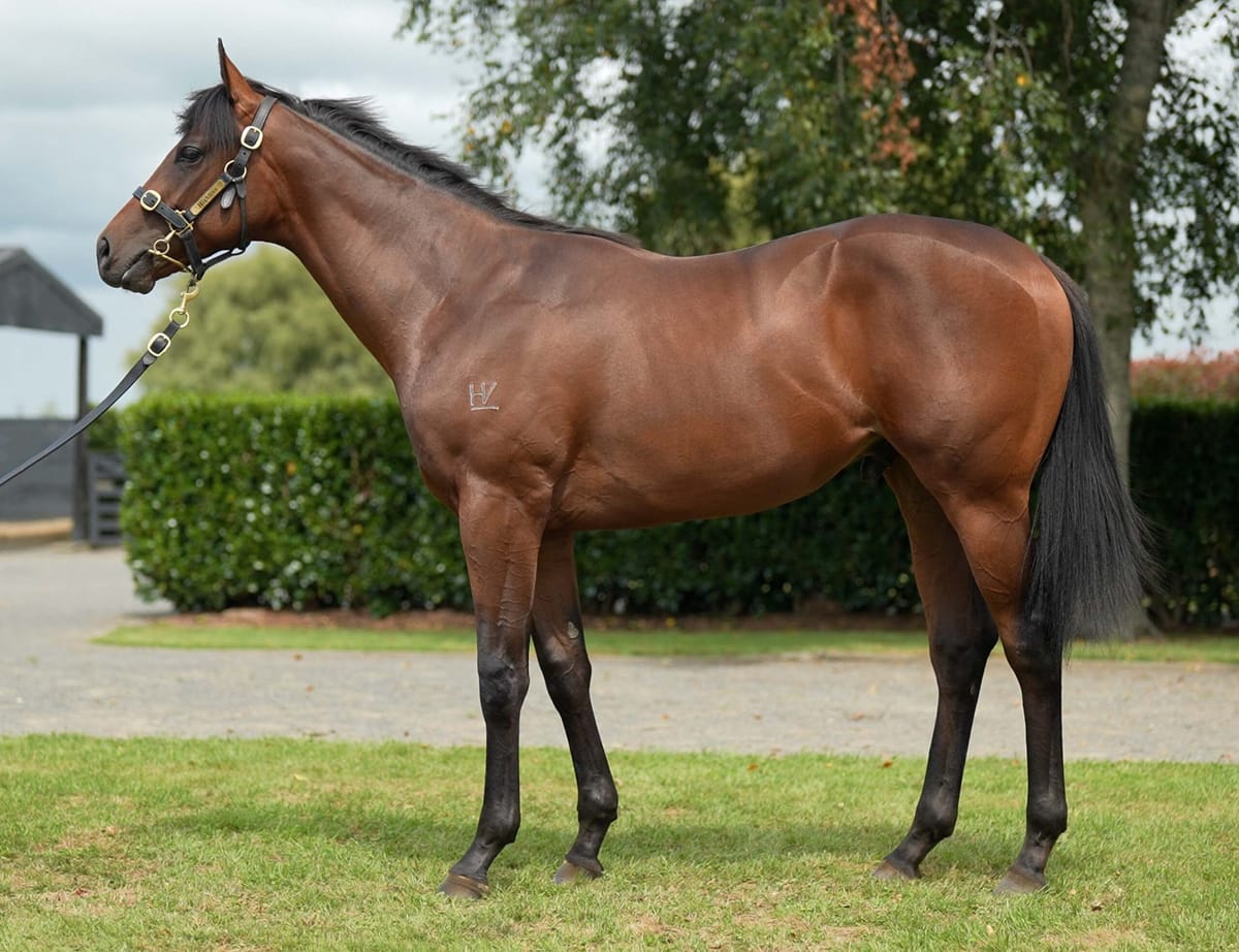 Vadamos colt tackles Sires’ Produce
