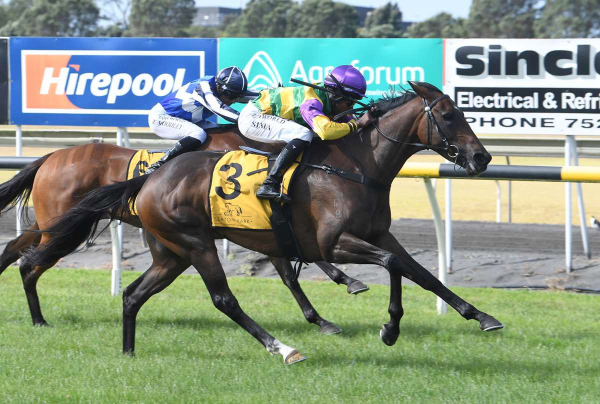 Quality and quantity for Patterson in local feature