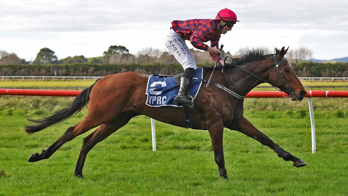 Classy Quid cashes in at Woodville