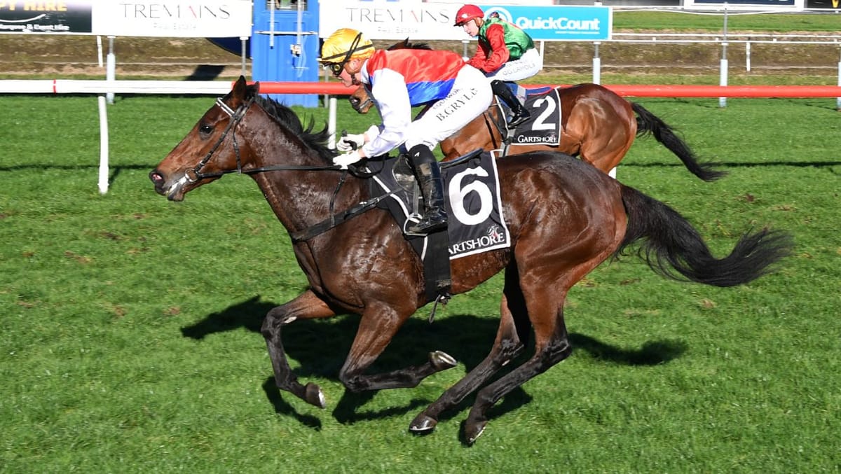 Slick filly provides first winner for Grey