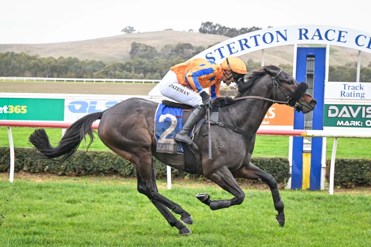 The Mighty Spar makes it Three Straight