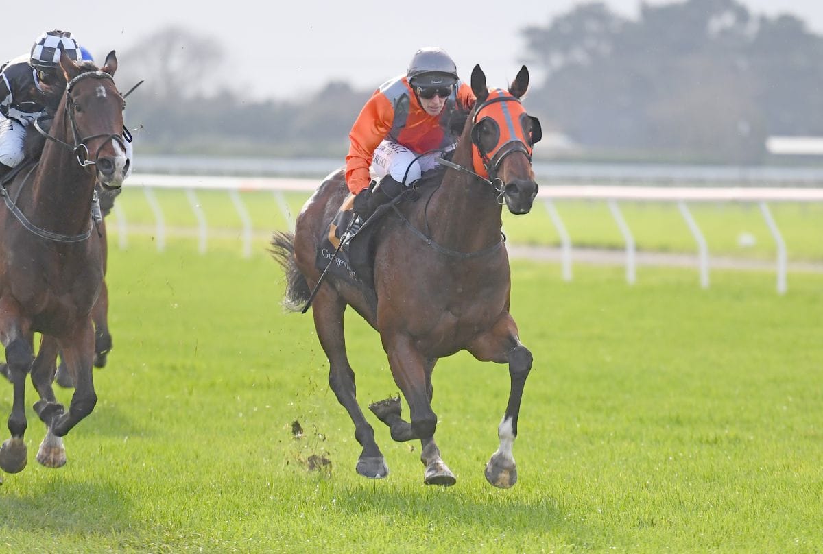 Tavis Court ticks off another winning season