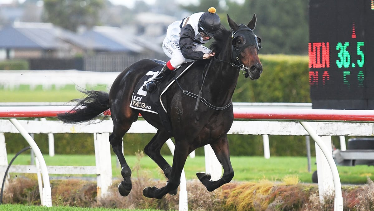 Gordon hoping for another tried horse Ace