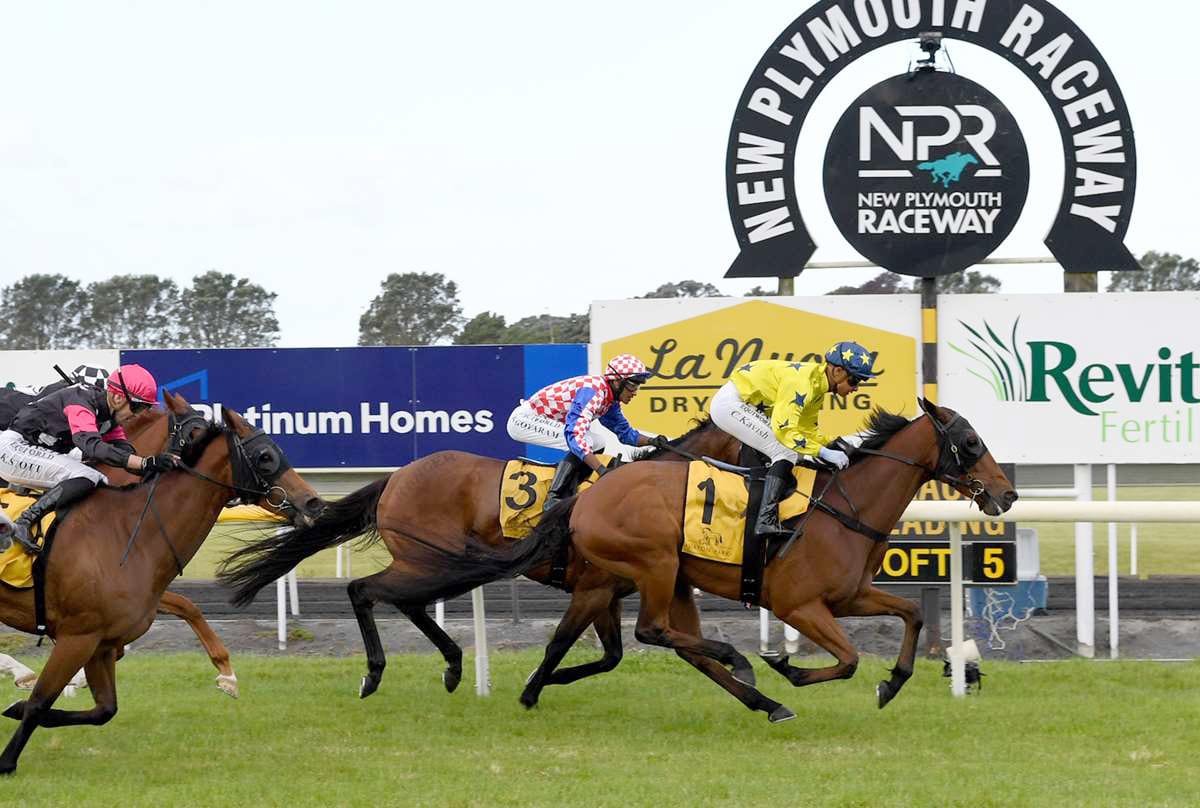 Harris team halved for Hawera