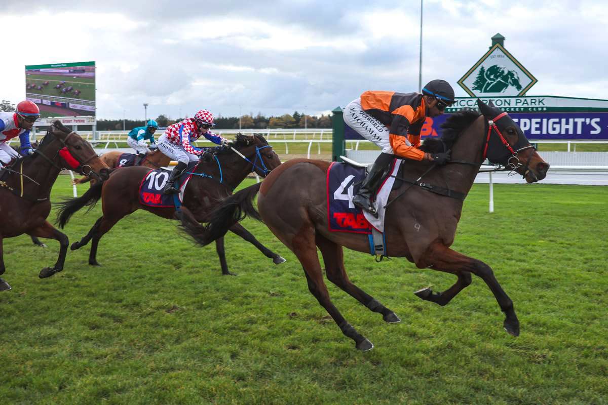 Winter Cup hopes hang in the balance for Wilson trio