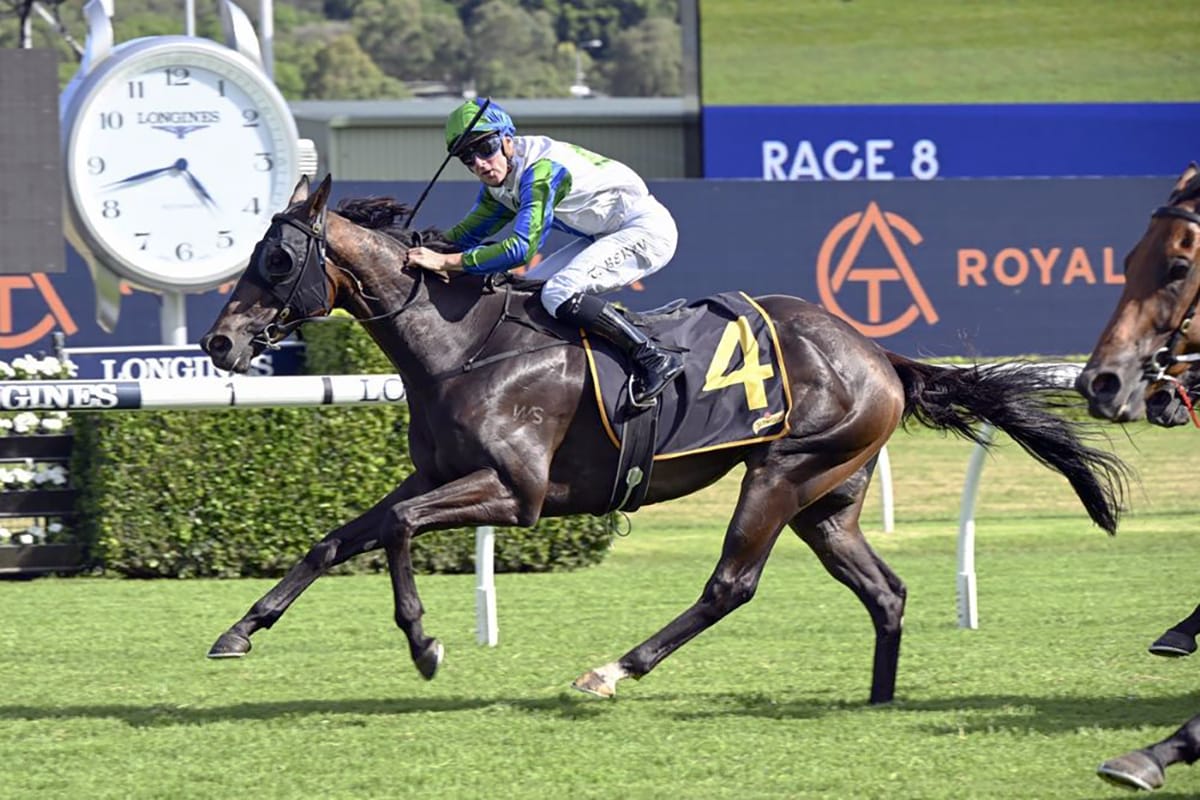 Waihaha Falls looking to bounce back at Te Rapa