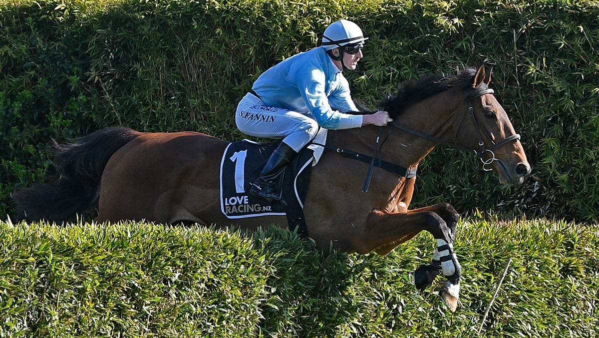 Oulaghan sticking with proven partnership in Hawke’s Bay feature