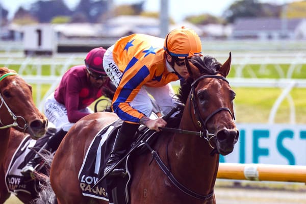 Former boom 3YO makes eagerly anticipated return