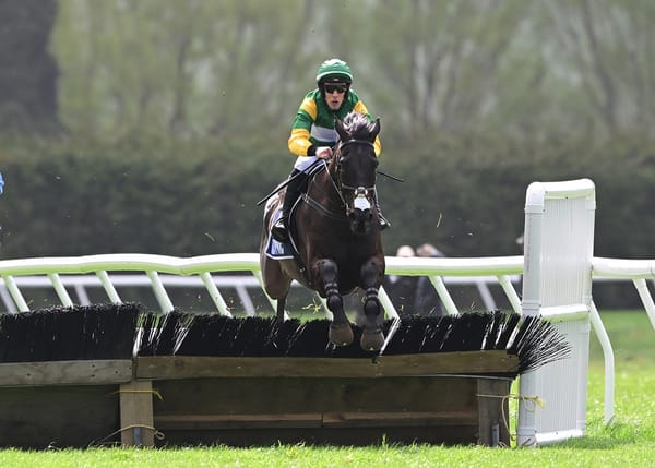 Great New Zealand focus for Billy Boy