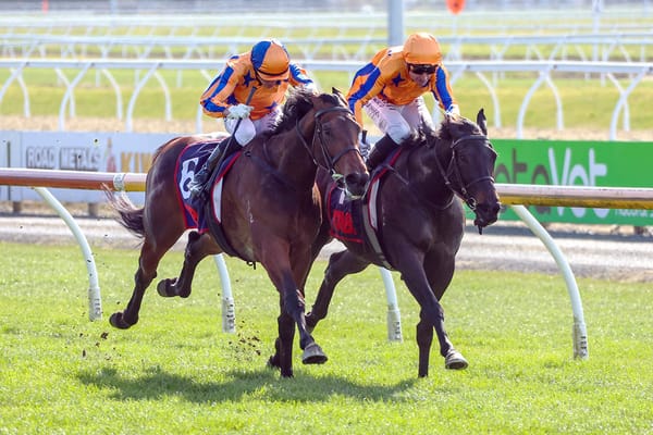 Belle Du Monde shines on three-year-old debut