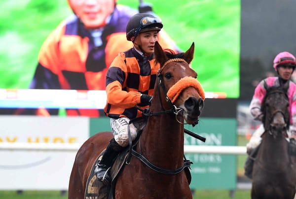 Cup contender ageing like fine wine