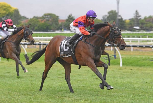 Canheroc on a path towards Cups redemption