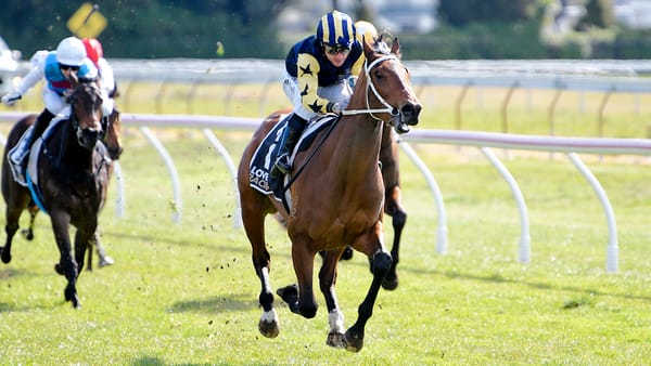Wanganui Guineas likely for Churmatt