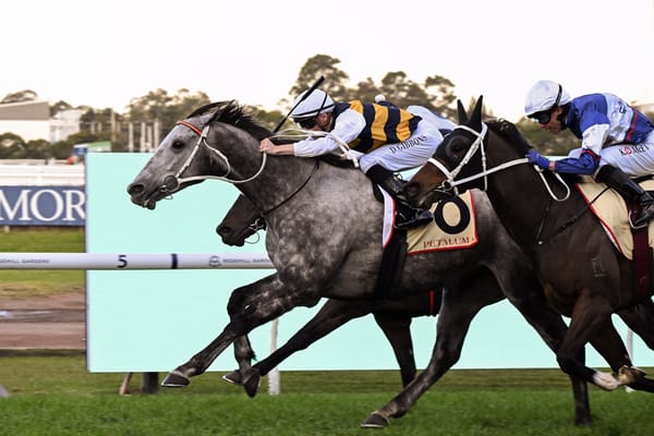 Cloudland heads Kiwi-bred trifecta