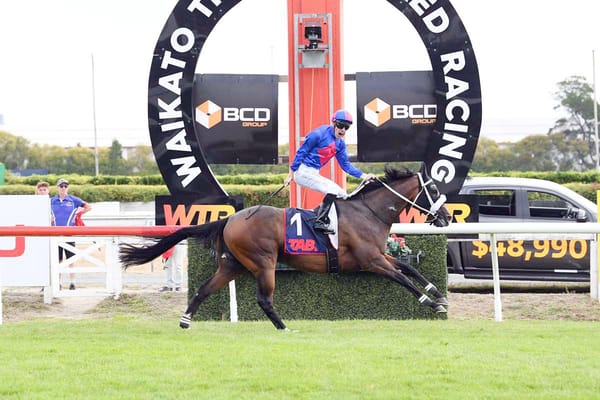 Finalists Announced for 2024–25 New Zealand Thoroughbred Horse of the Year Awards