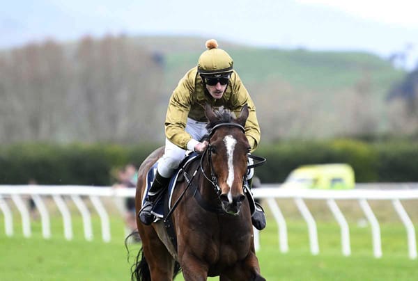 Fannins hoping to continue golden run