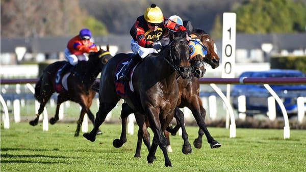 Group assignments in the offing for Force of Nature