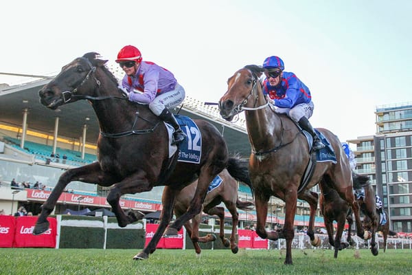 Hard To Cross swoops to Valley win