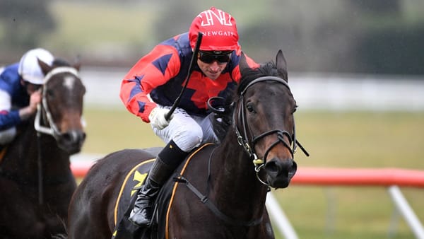 In Haste hints at big spring for TAB Racing Club