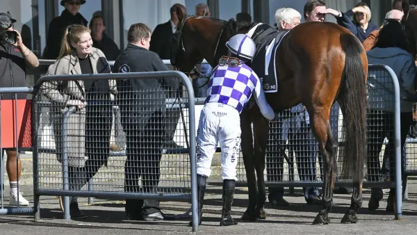 Logan runner kicks off his winning roll at Rotorua