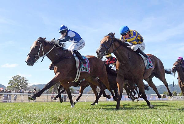 Further grass targets enter the picture for synthetic specialist