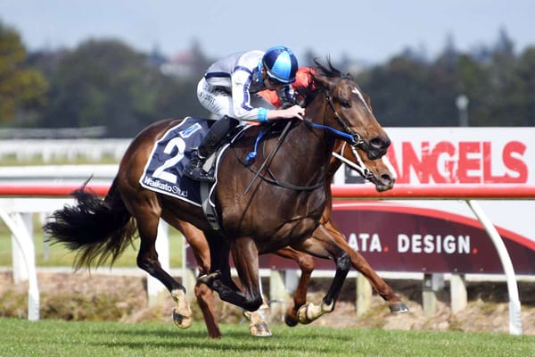 Lupo Solitario returns to NZ
