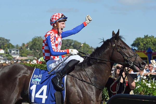 Gallant Mali Ston set for Foxbridge renewal