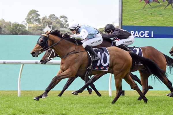 Monkhana continues young trainer’s metropolitan run