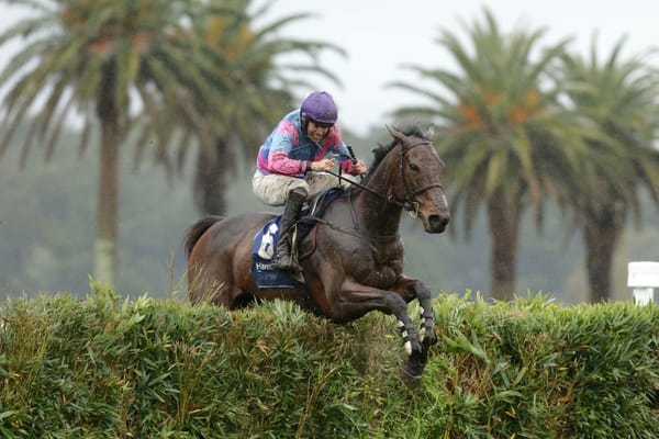 Pakuranga Hunt Cup completes Nedwin’s switch