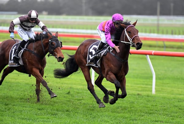 Platinum Diamond set to shine in Wanganui Guineas