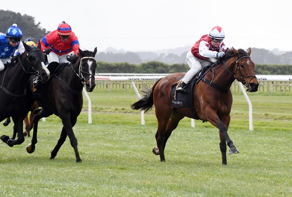 Pride Of Aspen completes hat-trick at Hawera