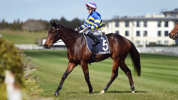 Quantum Legend shines on debut